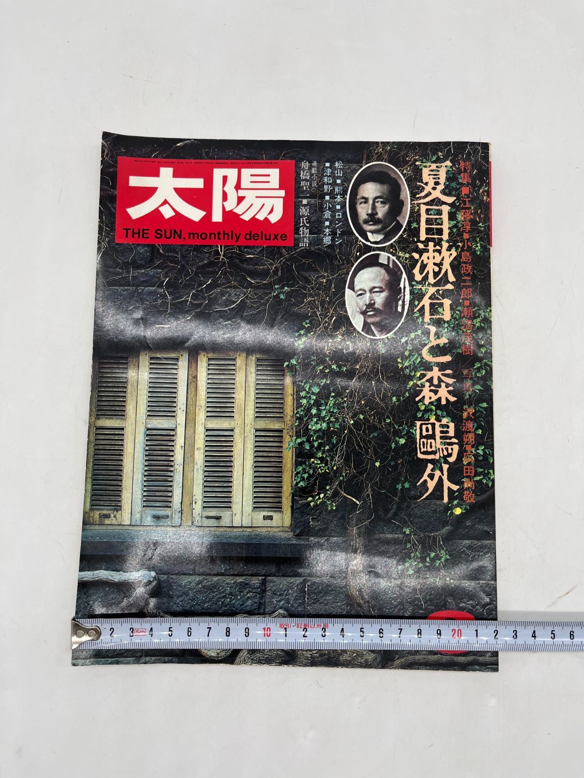 雑誌　太陽　特集　THESUN 昭和レトロ　36冊 平凡社 太陽 1974年 6 THE SUN , no.133 特集 夏目漱石 と 森