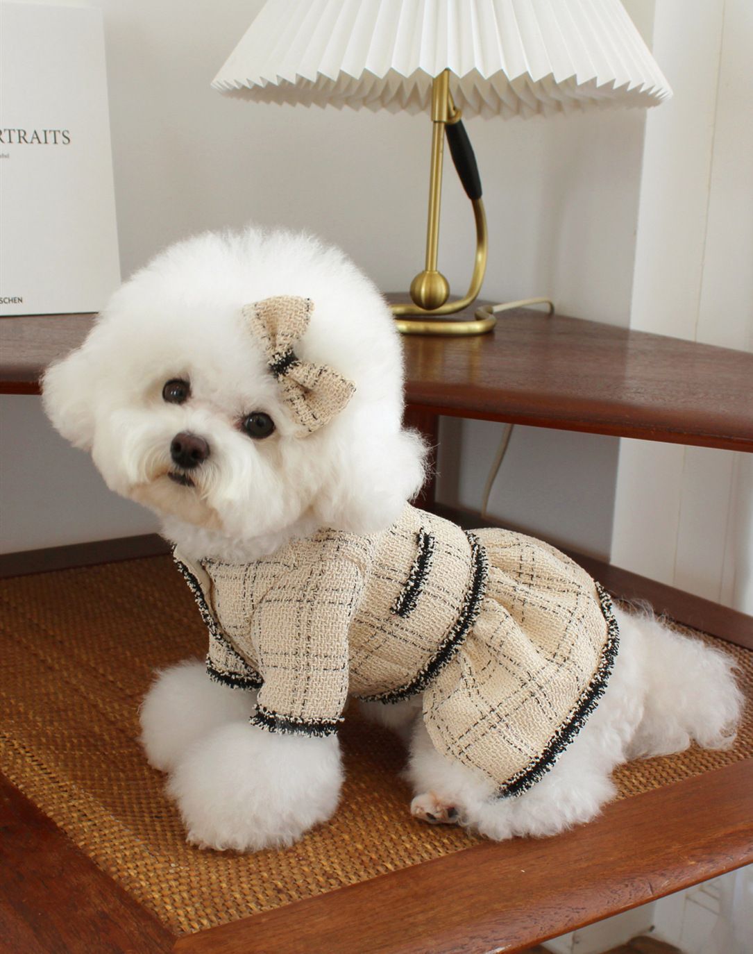 中型犬