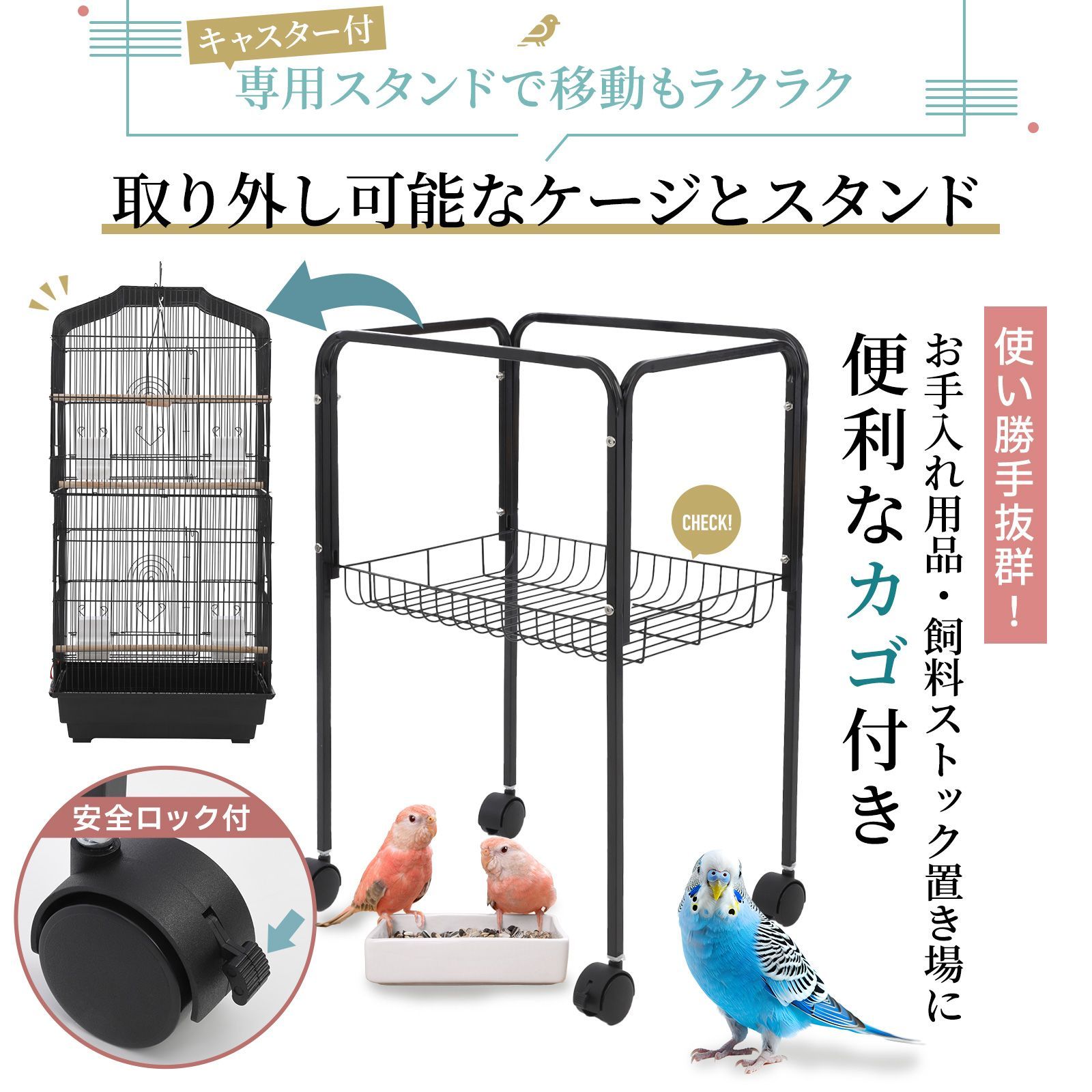 セキセイインコ 手乗りインコ