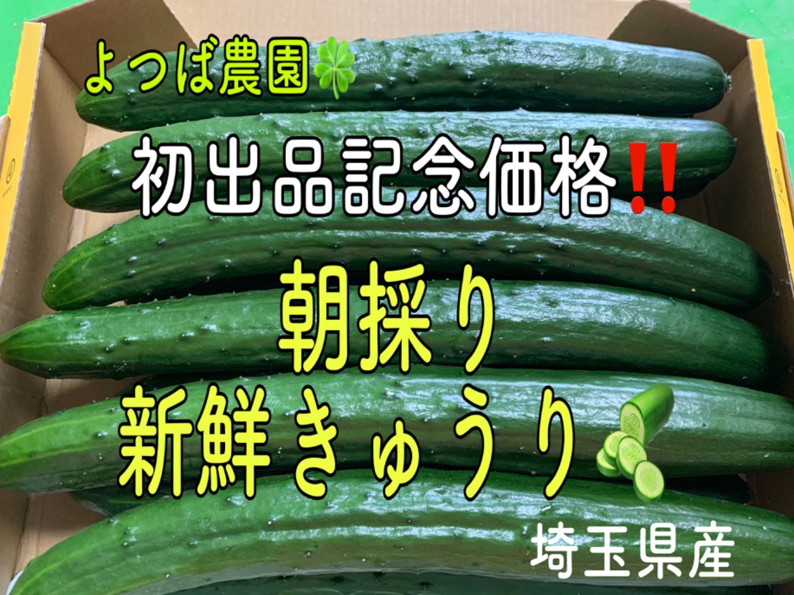 農家直送きゅうり 鹿児島県産朝採りきゅうり - 野菜