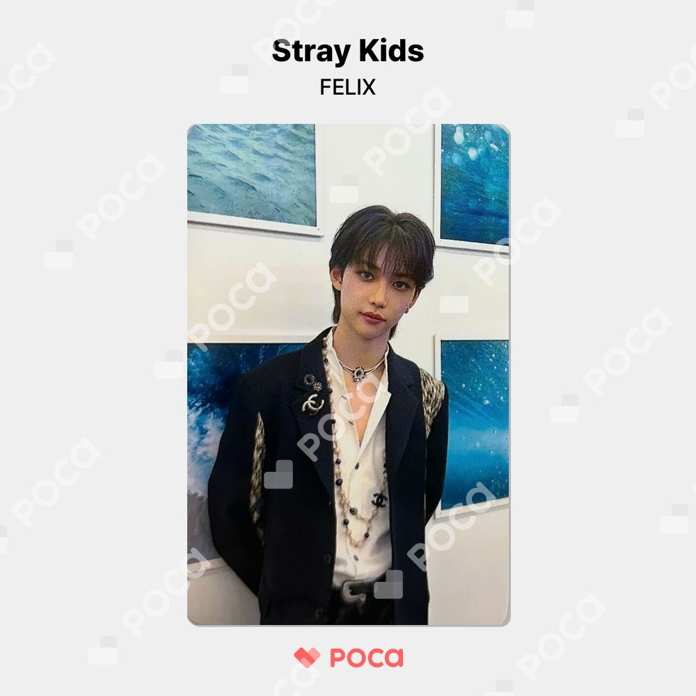 straykids Maxident ラキドロ　トレカ　フィリックス straykids スキズ MAXIDENT ラキドロ トレカ フィリックス