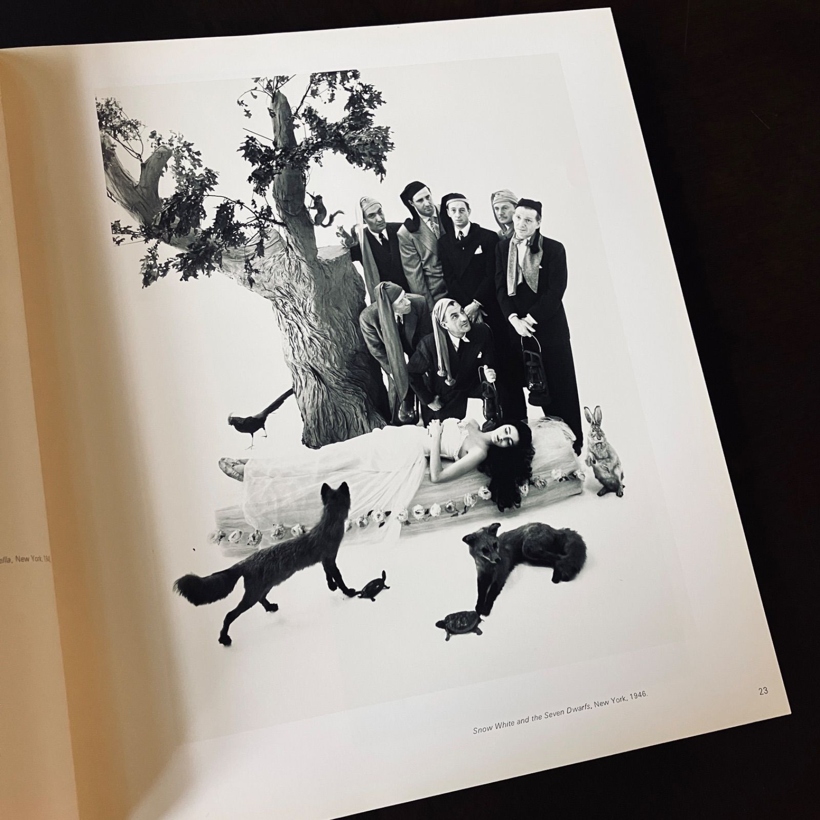 【Passage 】Irving Penn 1991年初版 Irving Penn - Passage - Alfred A. Knopf 1991 - Saint-Martin