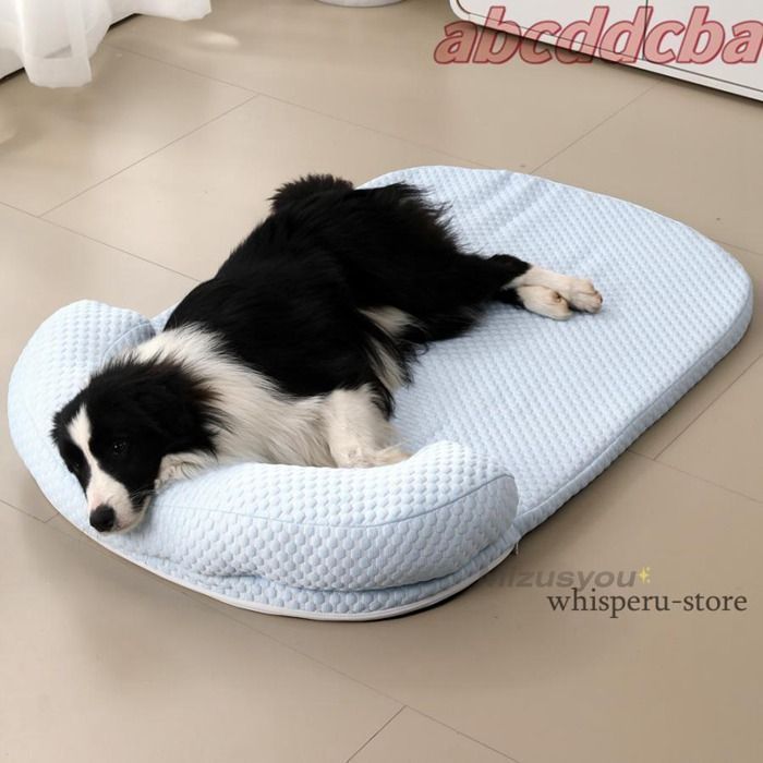 ライブロック 水槽」の人気商品一覧 | 安い商品を通販サイトから