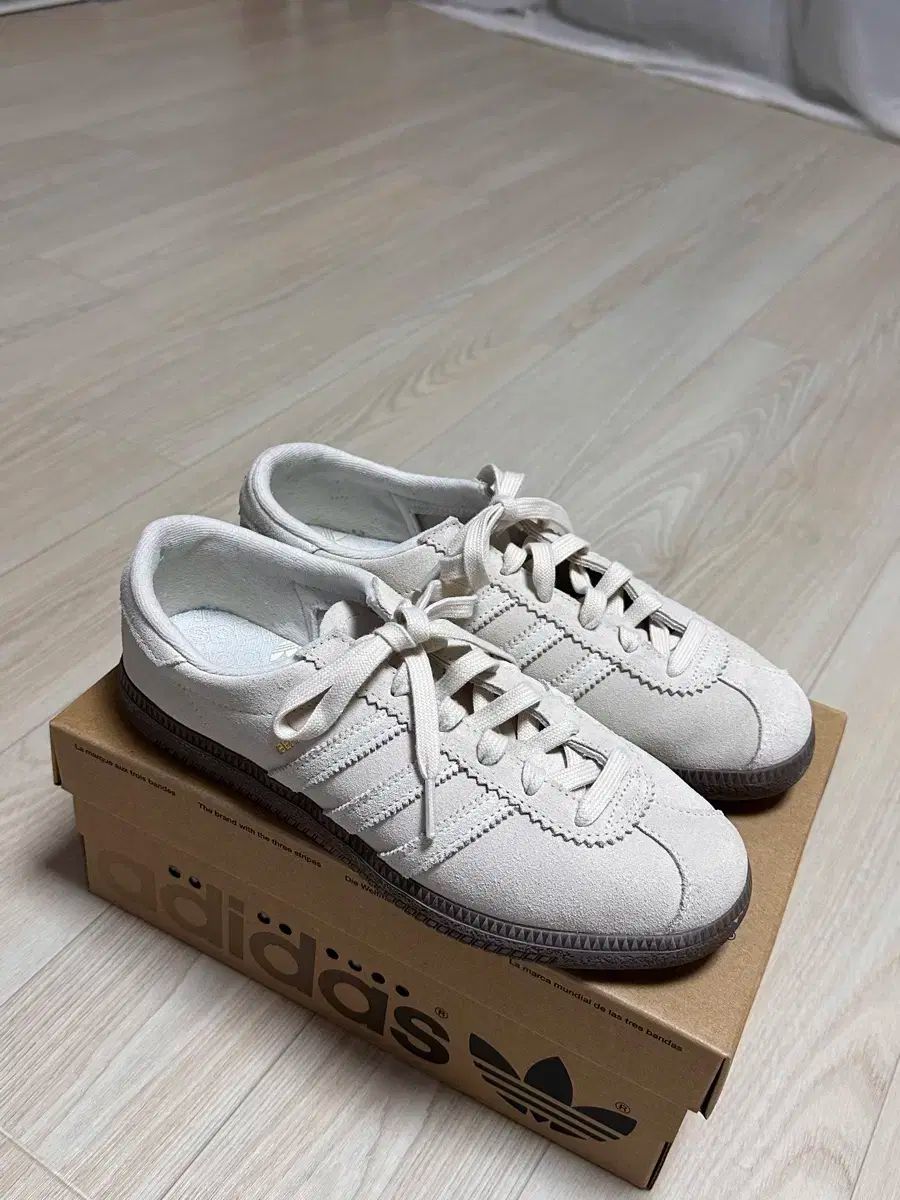 アディダス ベールン レディース 245 サイズ