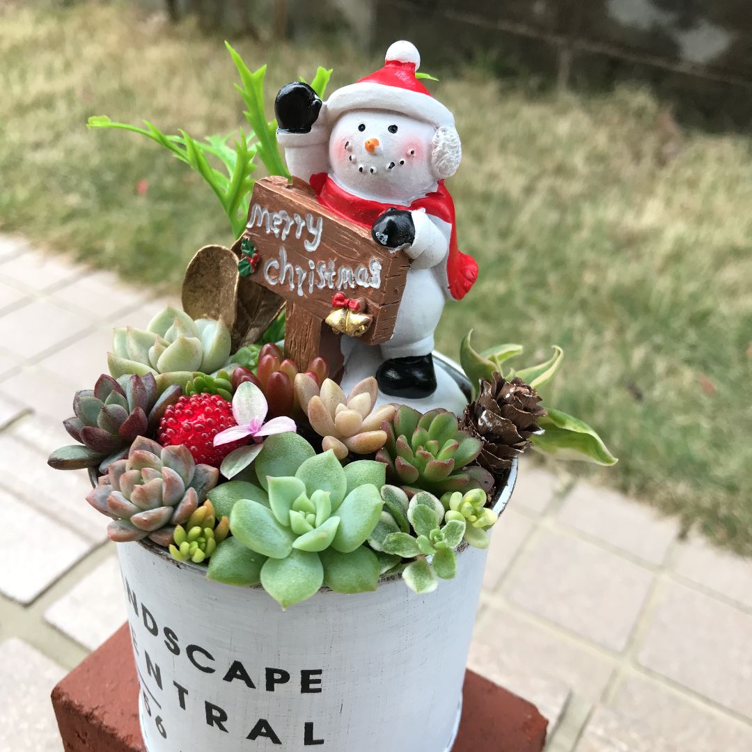 ♡そのまま飾れる♡クリスマス☆スノーマンのお出迎え♬多肉植物寄せ
