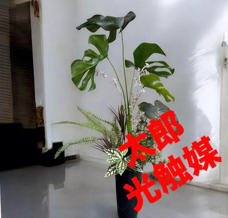 光触媒 人工観葉植物 フェイクグリーン モンステラとベンジャミン