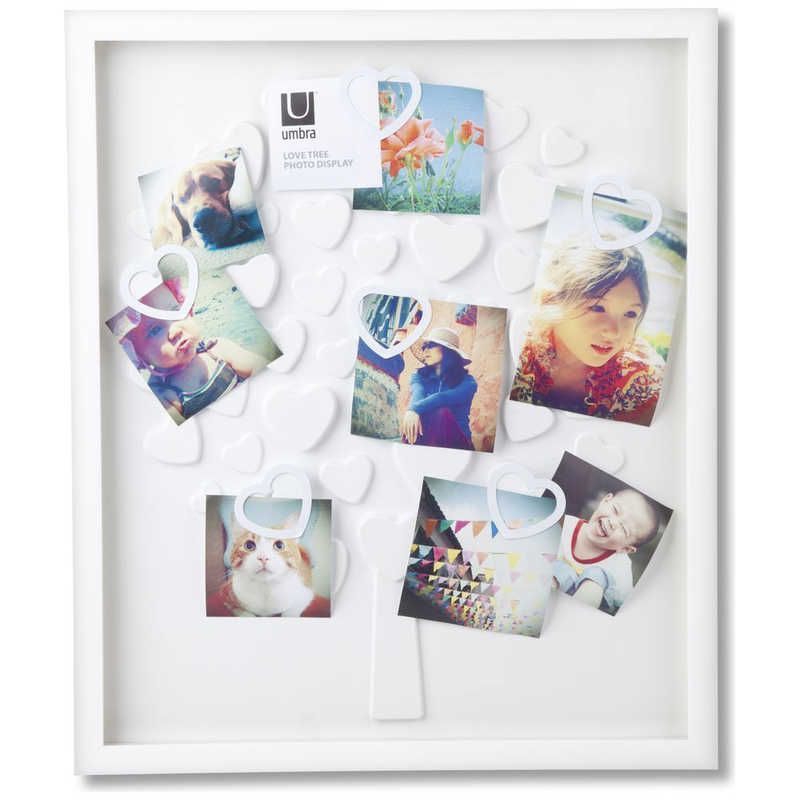 20個 MIZUMA みづま 肖像額5x6 入山 iriyama黒 金 写真額縁 世界堂