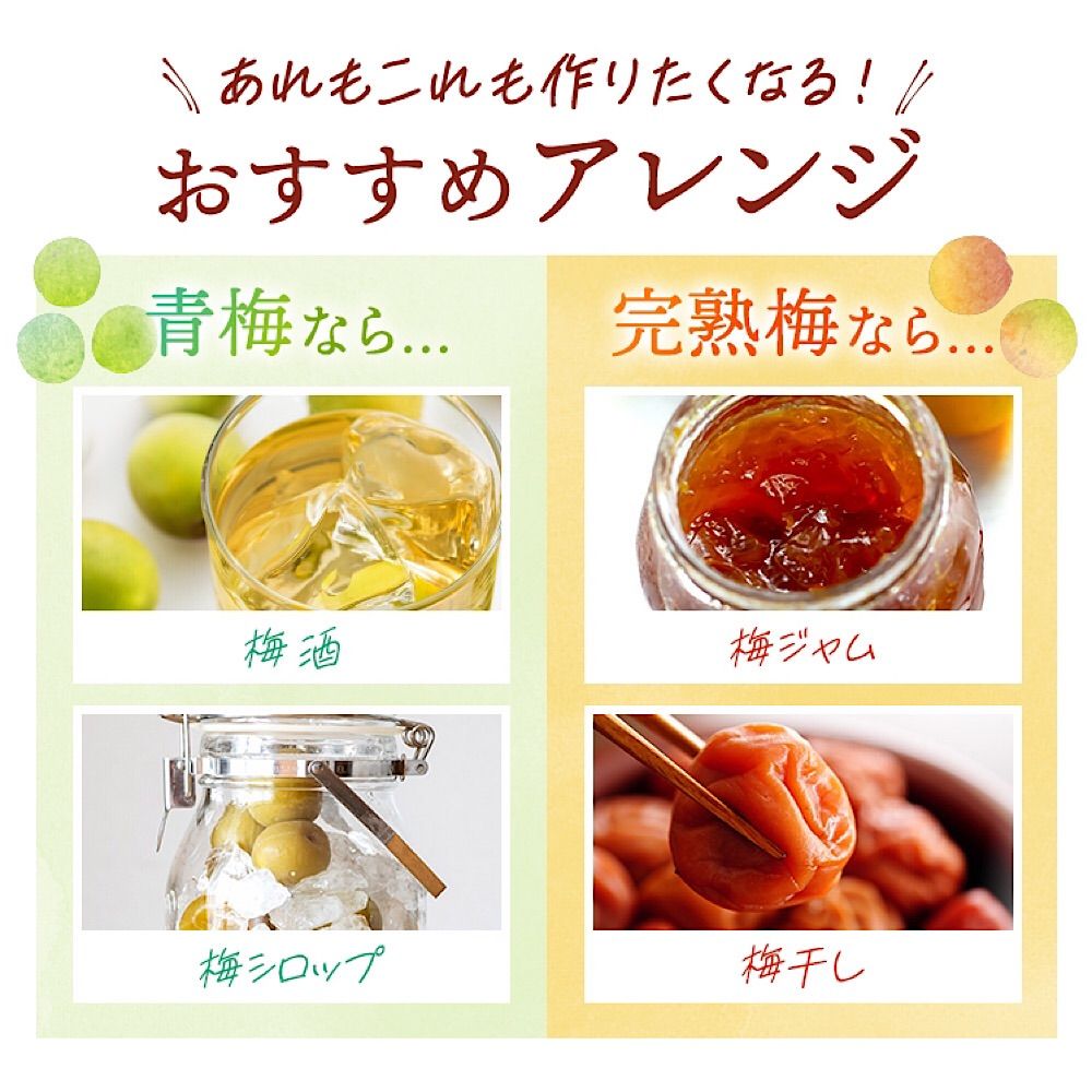 選べる 青梅-完熟梅5kg