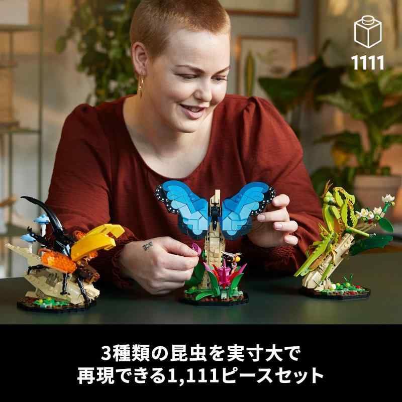 昆虫コレクション