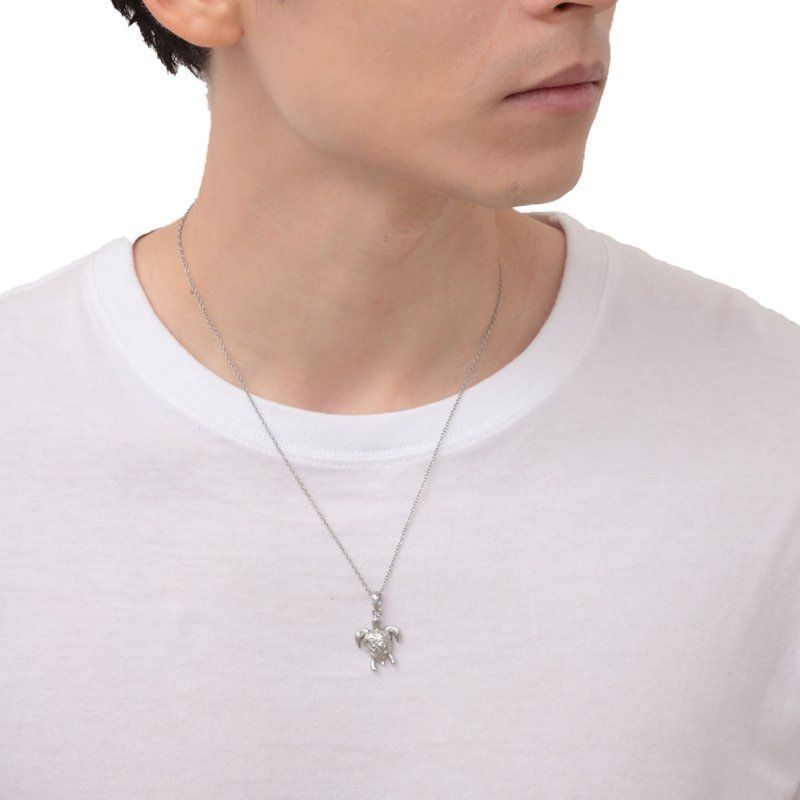 ハワジュ タートル