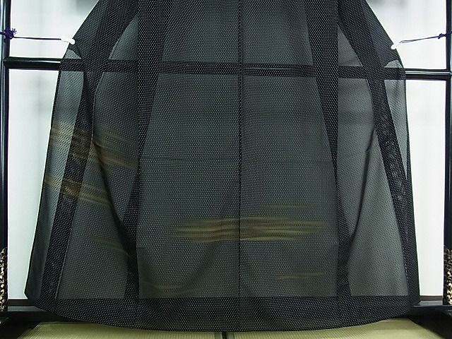 平和屋2■夏物　訪問着　紗　十字絣　霞文　黒地　逸品　未使用　DAAG6682wb