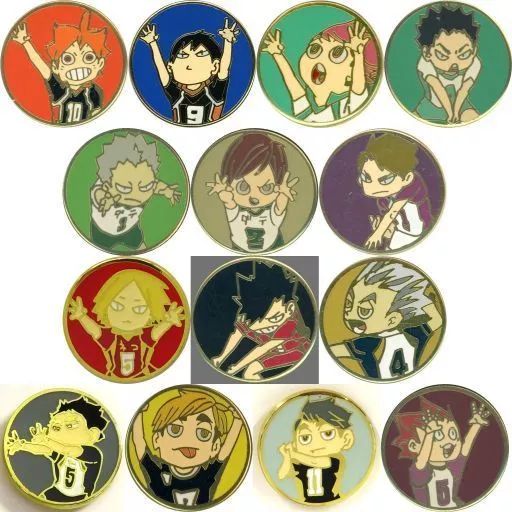バッジ・ピンズ クリアランス 全14種セット 「ハイキュー!!展 東京