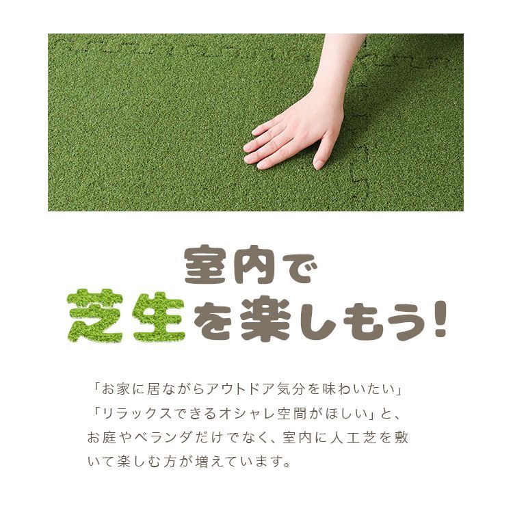 芝生 室内