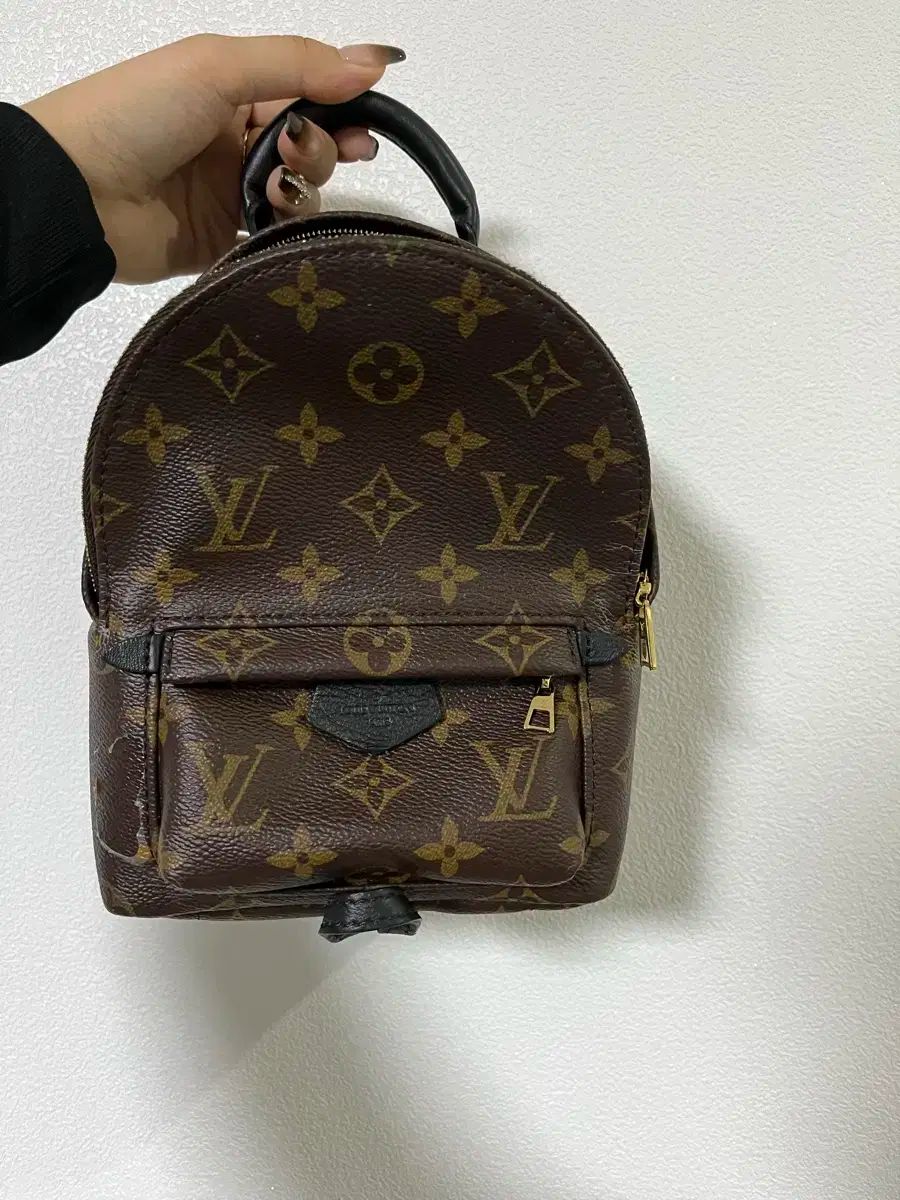 Louis Vuitton ルイヴィトン パームスプリング ミニ ファームミニ 正規品