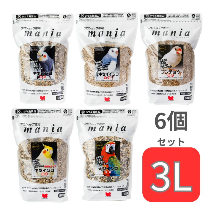 骨董 金箔工芸「貝合わせの香合」松鶴蒔絵