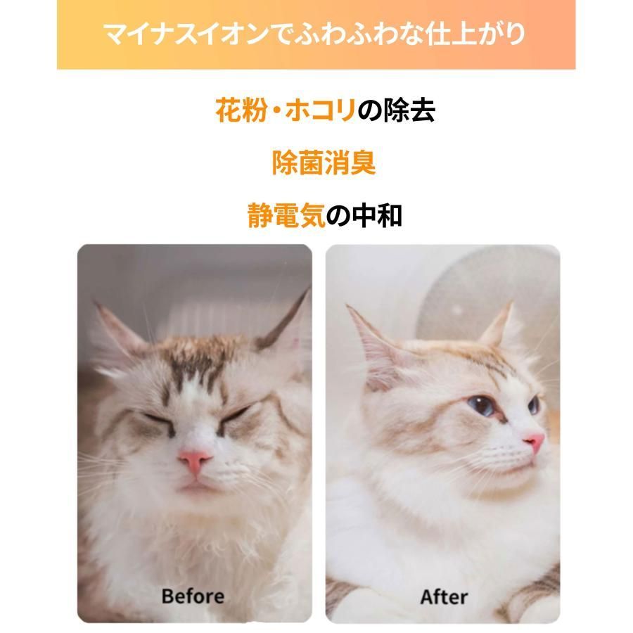 ペットドライヤー ハウス