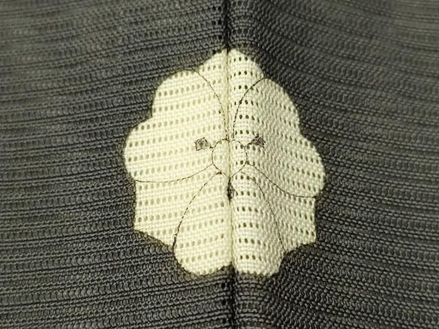 しぃちゃん✺正絹 笹 刺繍 訪問着 着物 A1819 美品 刺繍 夏着物 正絹 絽“ゆったりし花咲ける夏霞と刺繍花”色