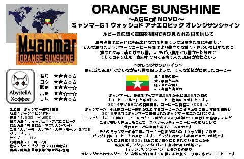 ORANGE SUNSHINE~AGE of NOVO~ ミャンマーG1 ウォッシュド アナエロビック オレンジサンシャイン　150g-1