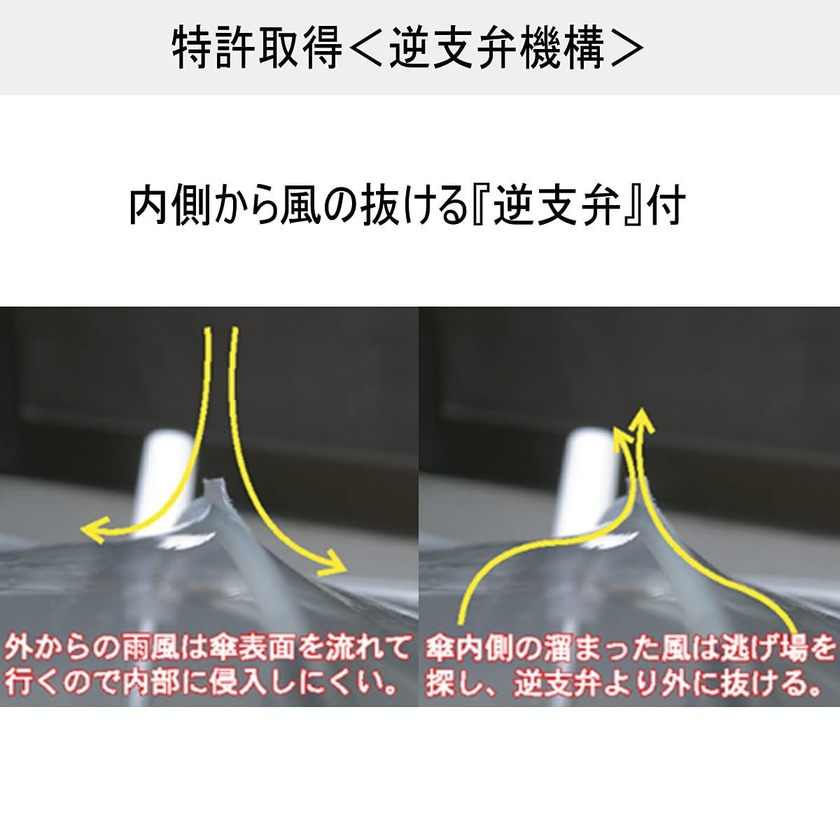 ８本骨