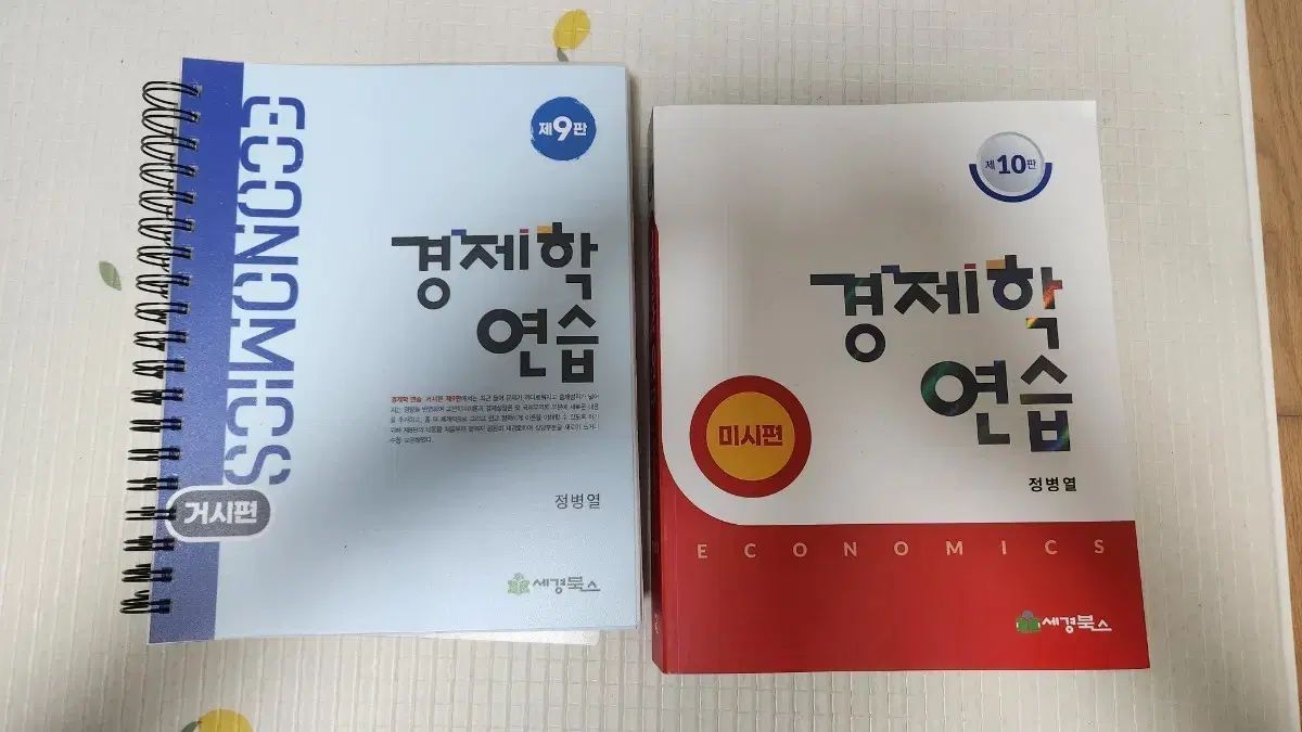 経済学演習 マクロ ミクロ