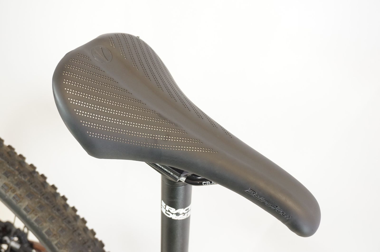 サンタクルーズ CAMELEON