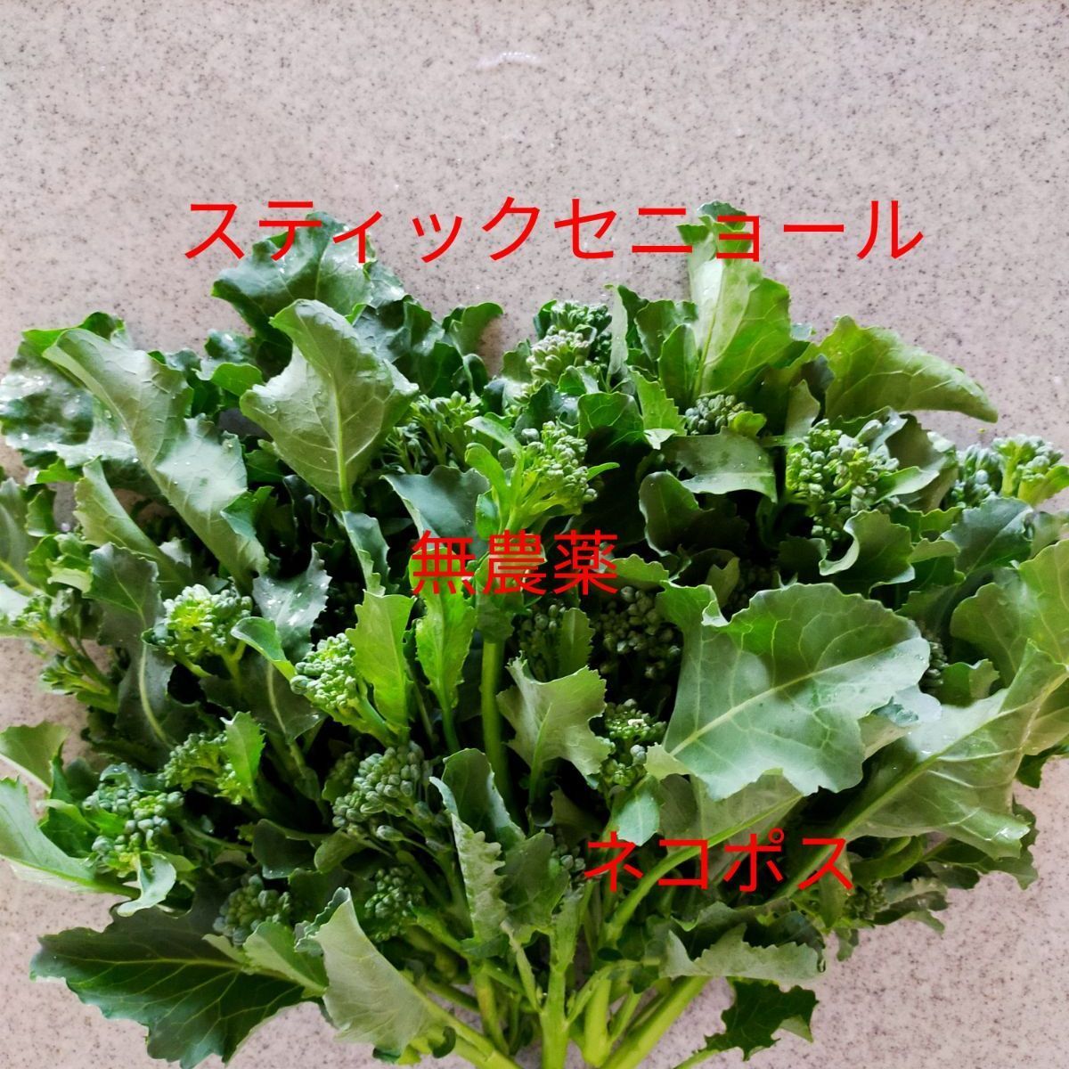 徳島県産 スティックセニョール ブロッコリー お問い合わせページ - 野菜