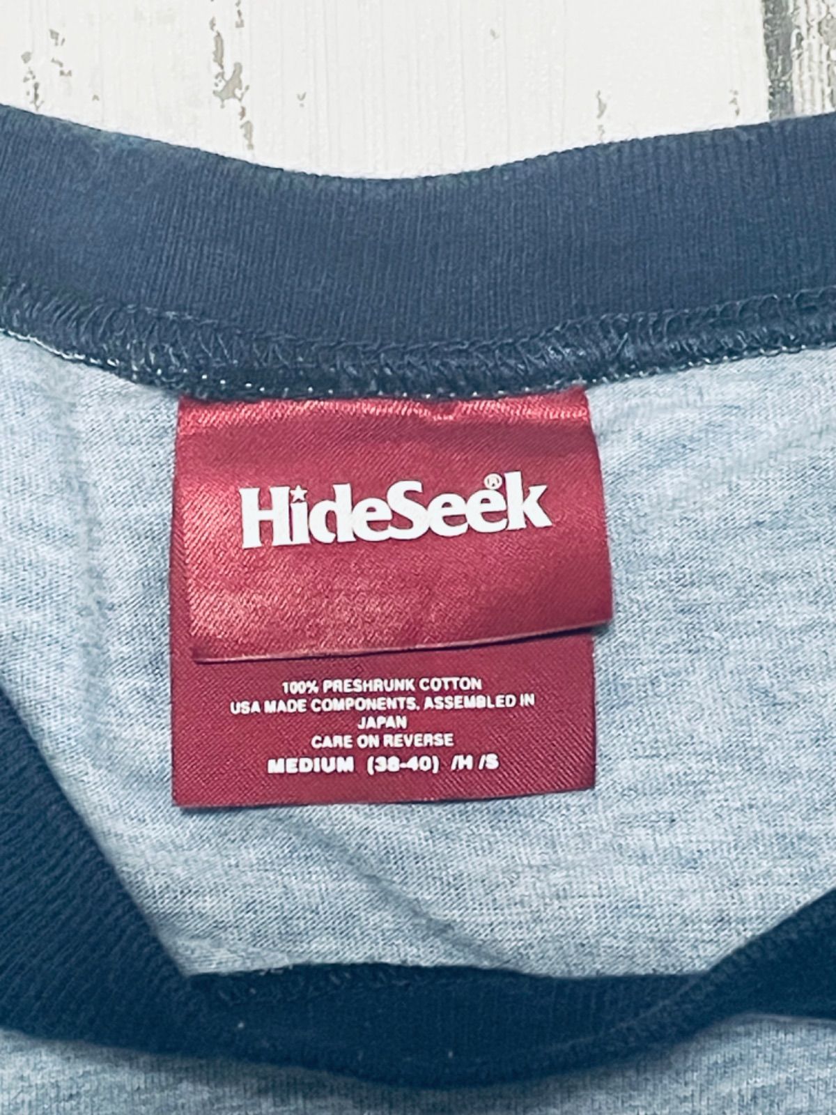 HIDE AND SEEK リンガーTシャツ ハイドアンドシーク Vulture Trim Tee