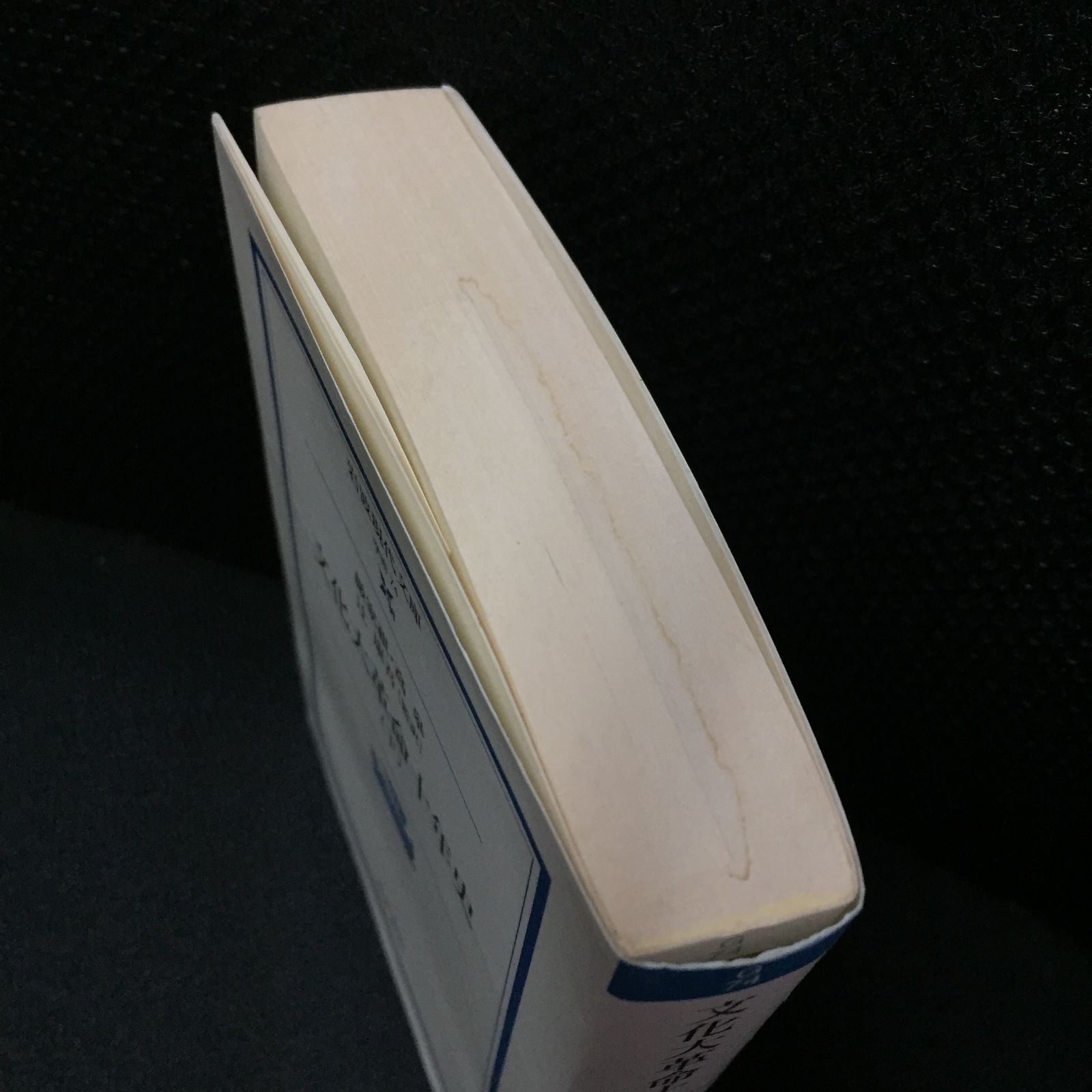 文化大革命十年史 下 (岩波現代文庫 学術 74)』 ハイマン