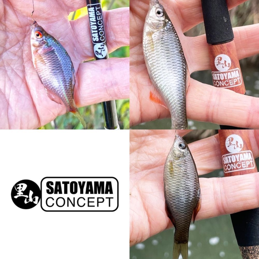 サトヤマ タナゴ竿 SC-260P 4529604064639 SATOYAMA Tanago Rod