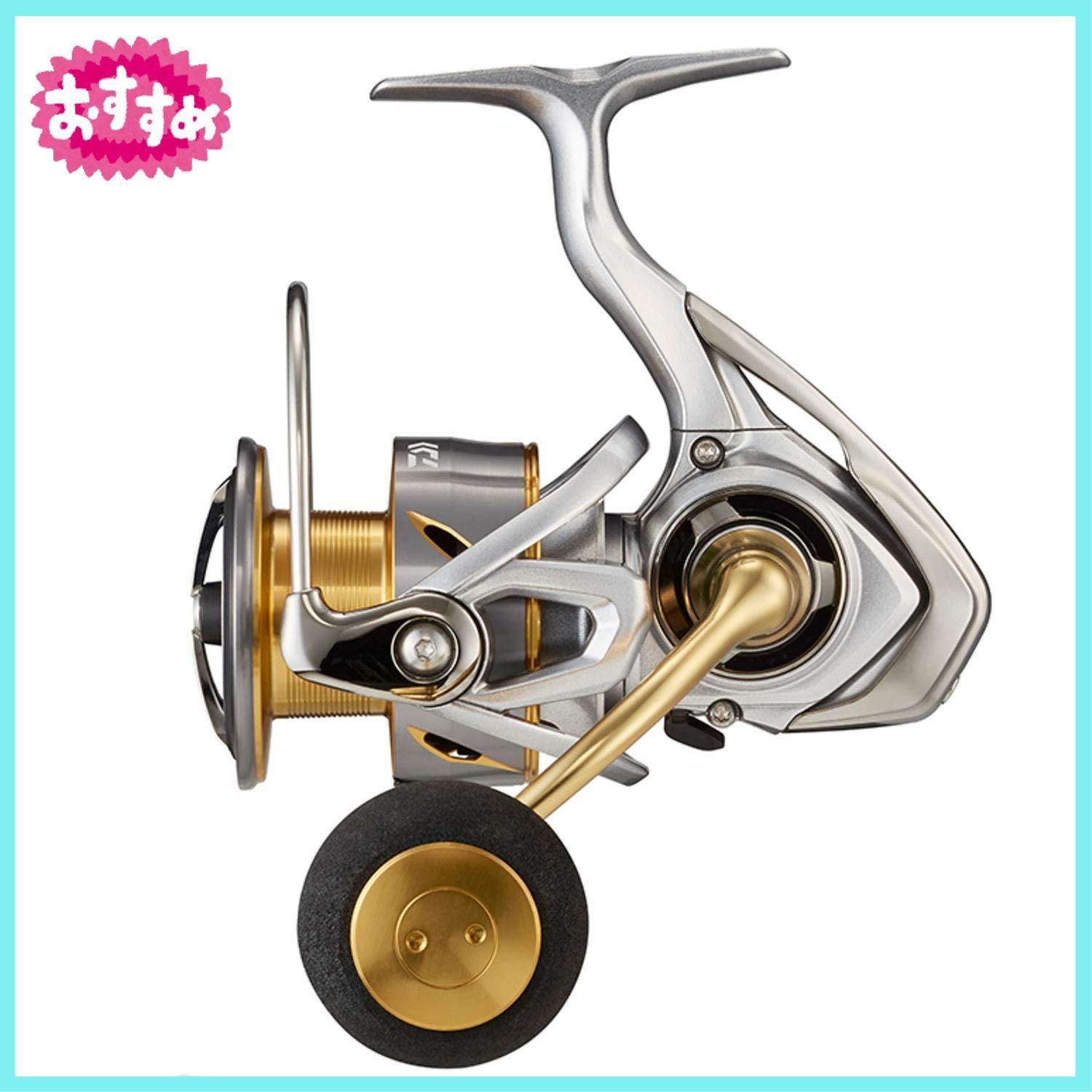 ダイワ(DAIWA) 21 フリームス LT3000-C-