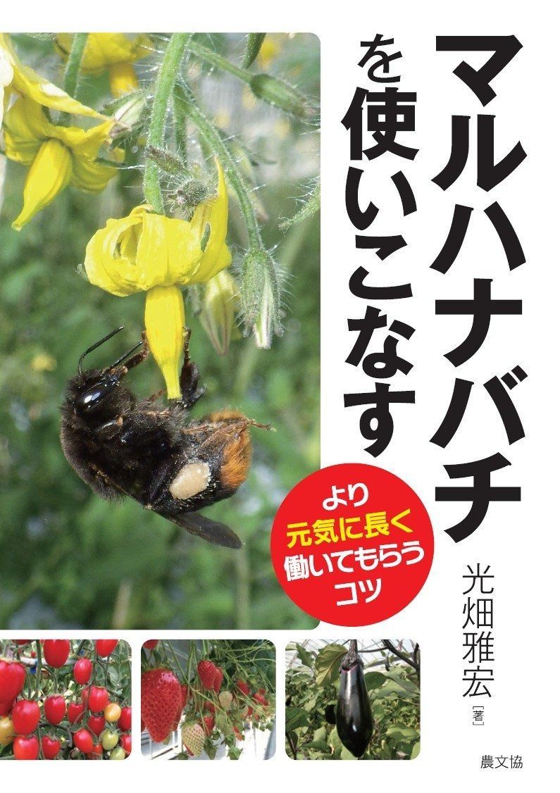 ayane中綿フレアーコート モカグレー