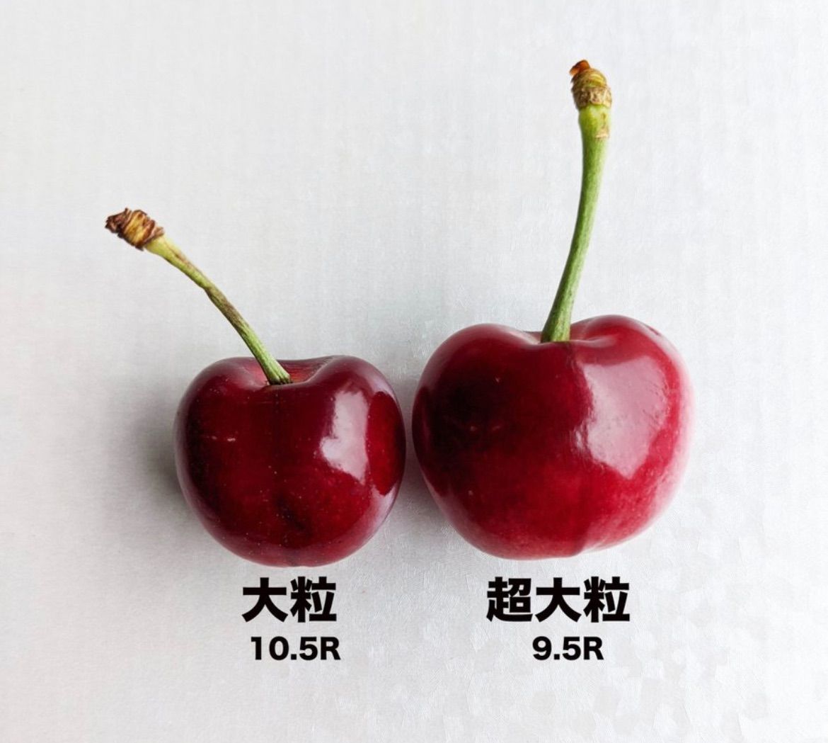 200g‼️お試し用‼️9.5row超大粒‼️常温便❣️激安