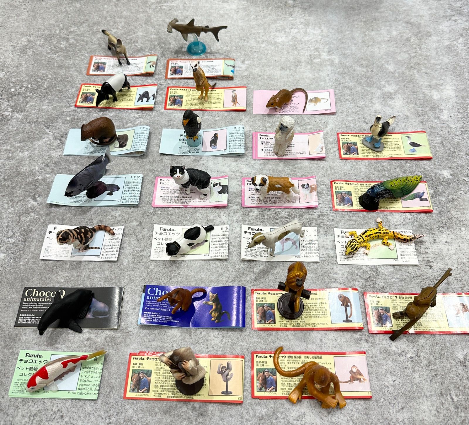 海洋堂】チョコエッグ チョコQ 24点セット - メルカリ