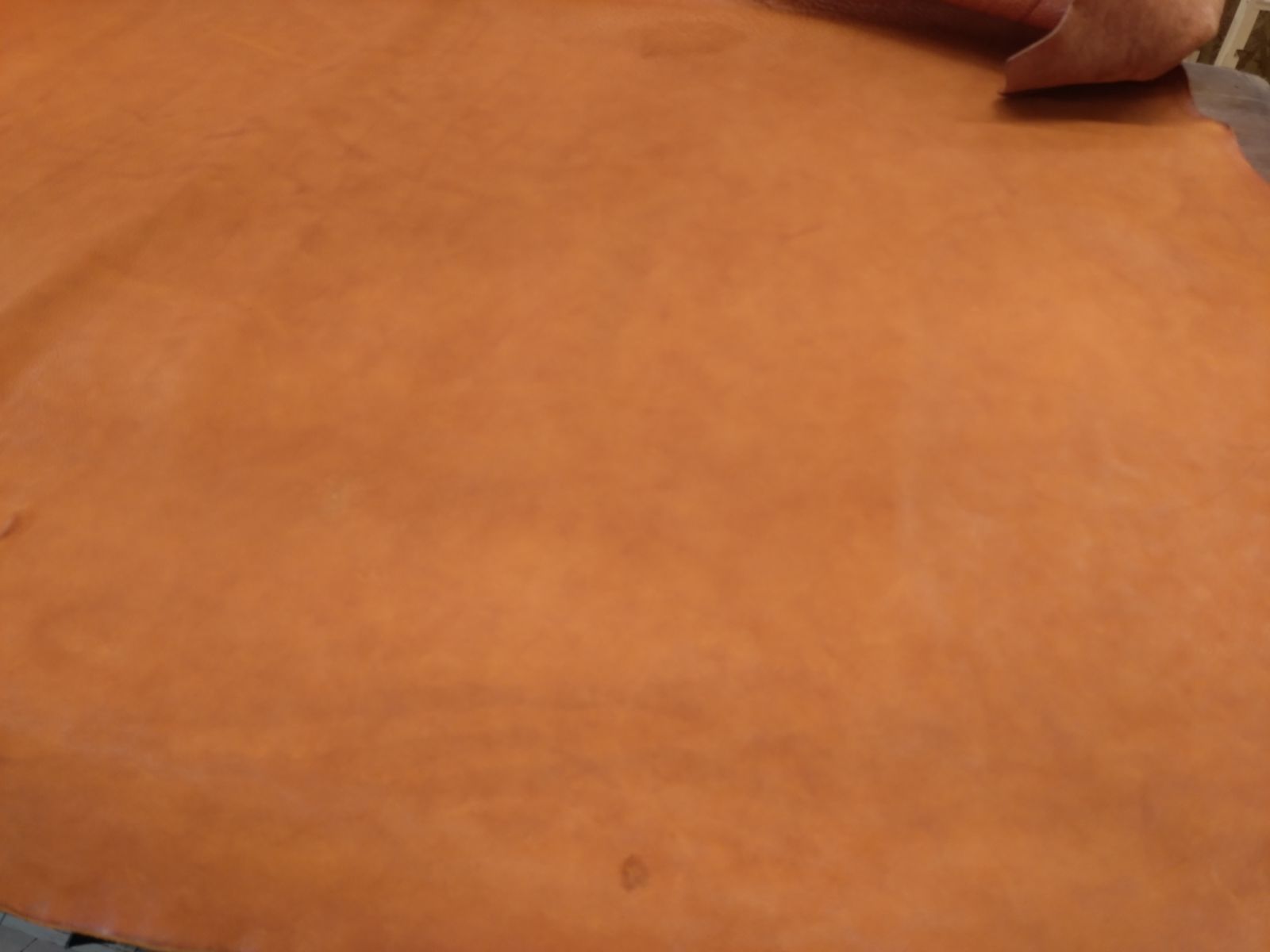 【セール】 ヌメ革シュリンク キャメル 252ds 【最短翌日配送】