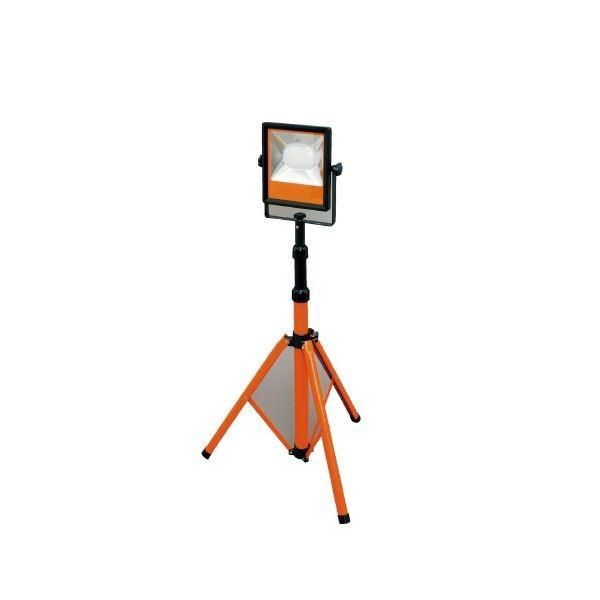 CROOJA WORM 154cm 23-24 グラトリ CROOJA WORM コレクション 154cm 23-24 グラトリ