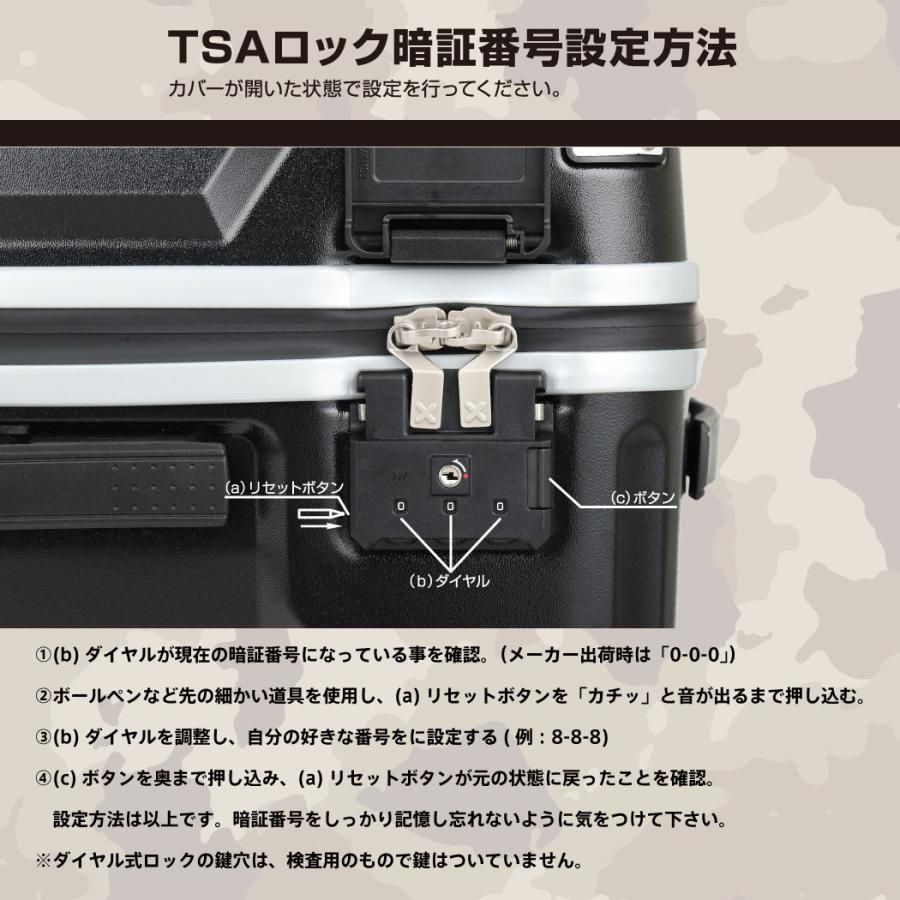 キャリーバッグ トランク