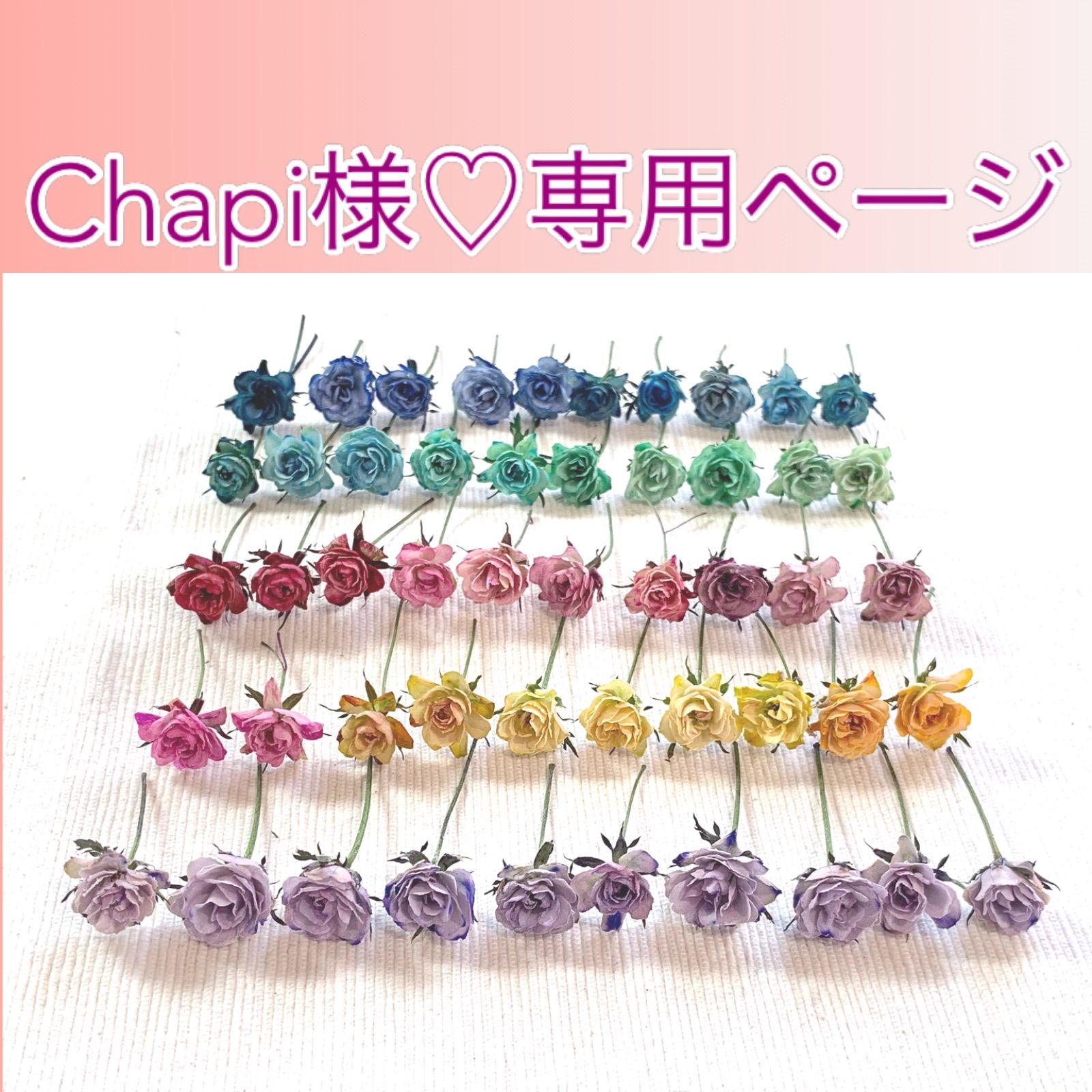 Chapi様専用ページ - メルカリ 