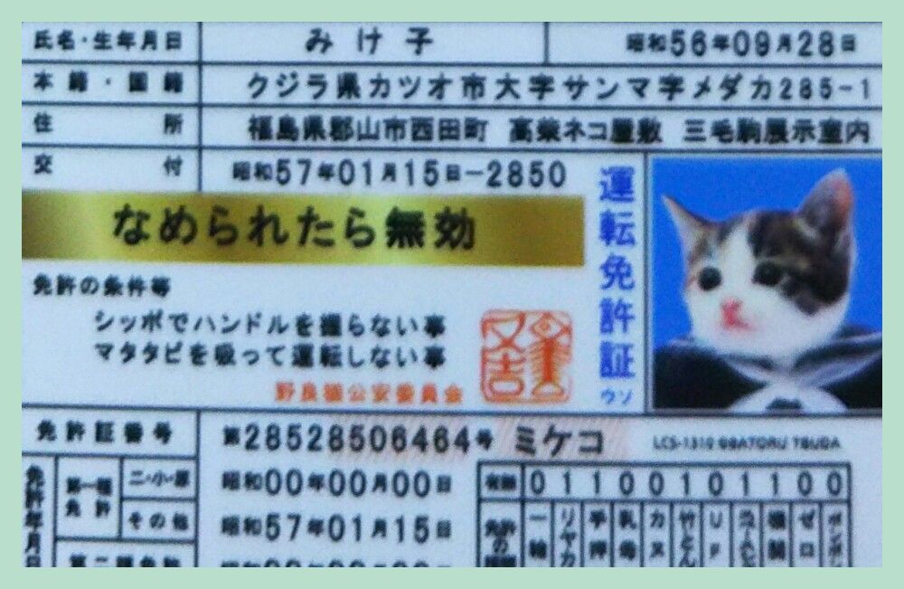 リペアショップ発　ビザール　セミアコタイプ　整備済み 楽天市場】合鍵 スペアキー ロッカー用 SEIKO FAMILY（生興