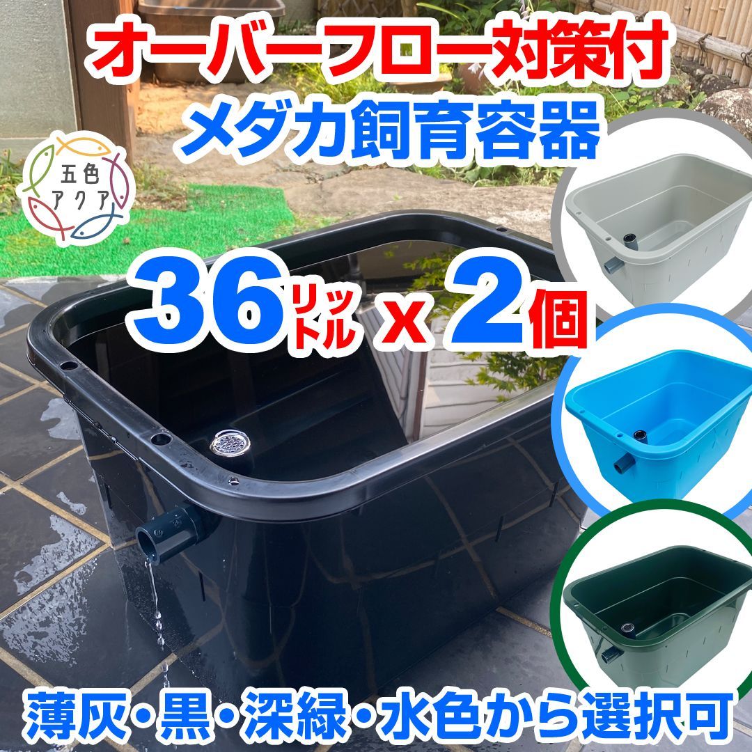 メダカ飼育ケース 36㍑x5個（4色あり） オーバーフロー対策済 金魚飼育
