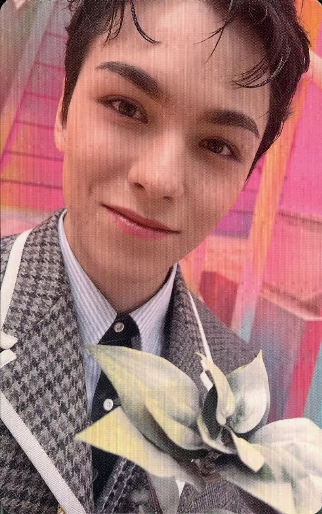 中古】コレクションカード(男性) SEVENTEEN/バーノン(VERNON)/裏面