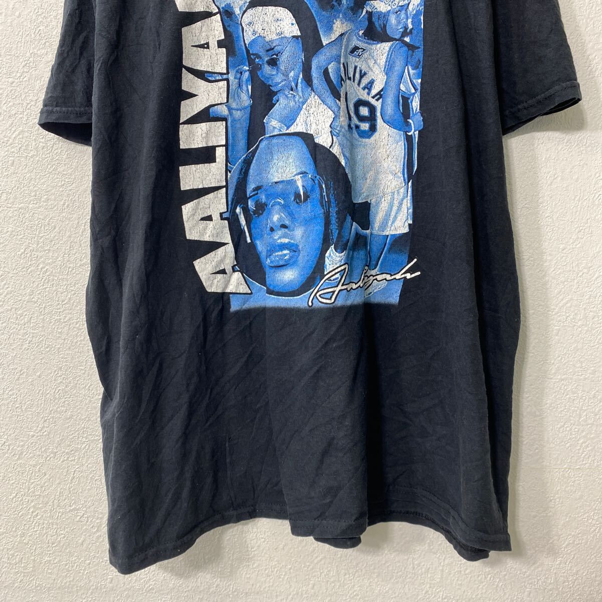 ギルダン　tシャツ チーム　ロゴ　プリント　アメリカ古着　L 1391 ギルダン tシャツ チーム ロゴ プリント アメリカ古着 L 1391