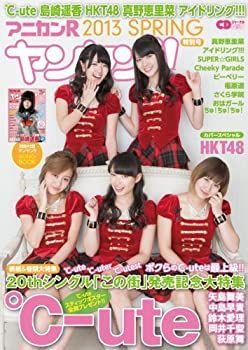 【中古】【非常に良い】アニカンRヤンヤン!! 特別号2013 SPRING (CDジャーナルムック)