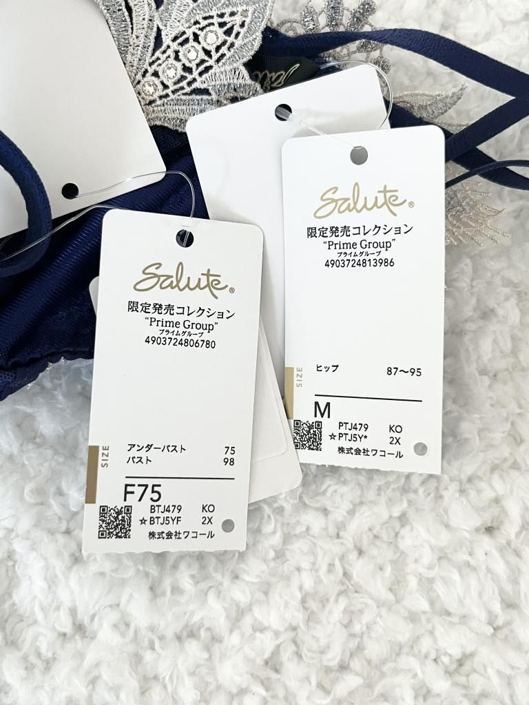 ☆【新品】 Wacoal Salute ワコールサルート ブラジャー＆ソング 79G