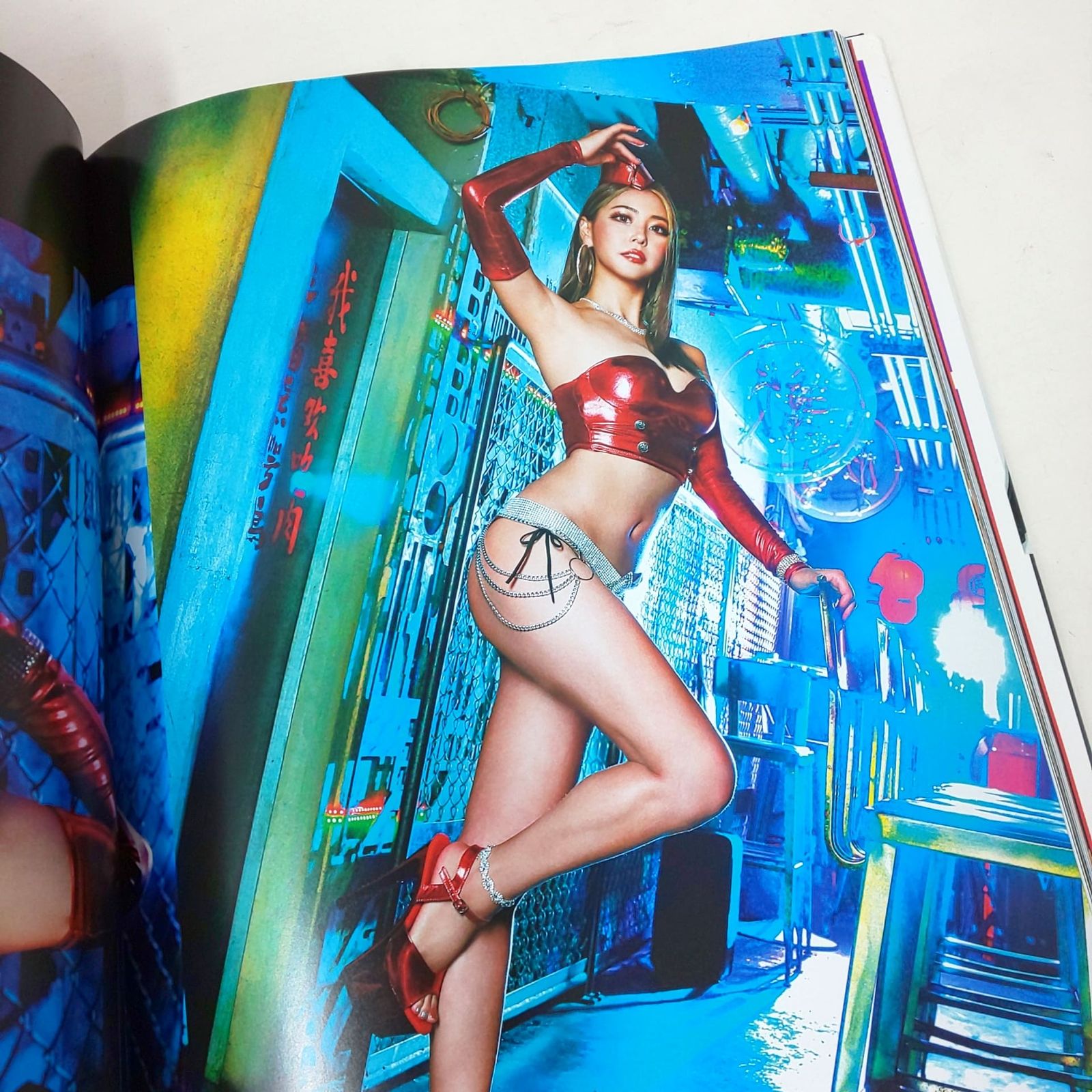 841B-01 GALLERY OF THE NOSE ART QUEEN Vol.6 写真集 ギャラリー オブ