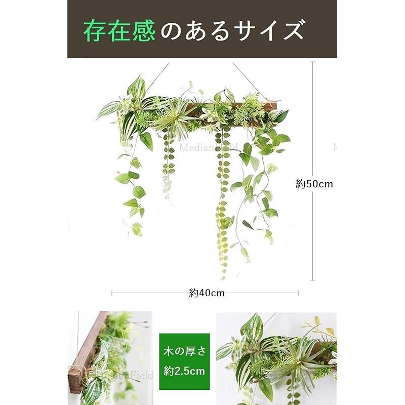 MedianField 【 観葉植物 光触媒 消臭 ＆ 抗菌 ウォールグリーン 】 フェイクグリーン 壁掛け 50cm×40cm フック付き 造花 フェイク おしゃれ 人工観葉植物 エアープランツ 室内 大型 フレーム イン 光触媒 観葉植物 MedianField セ 抗菌消臭 横長