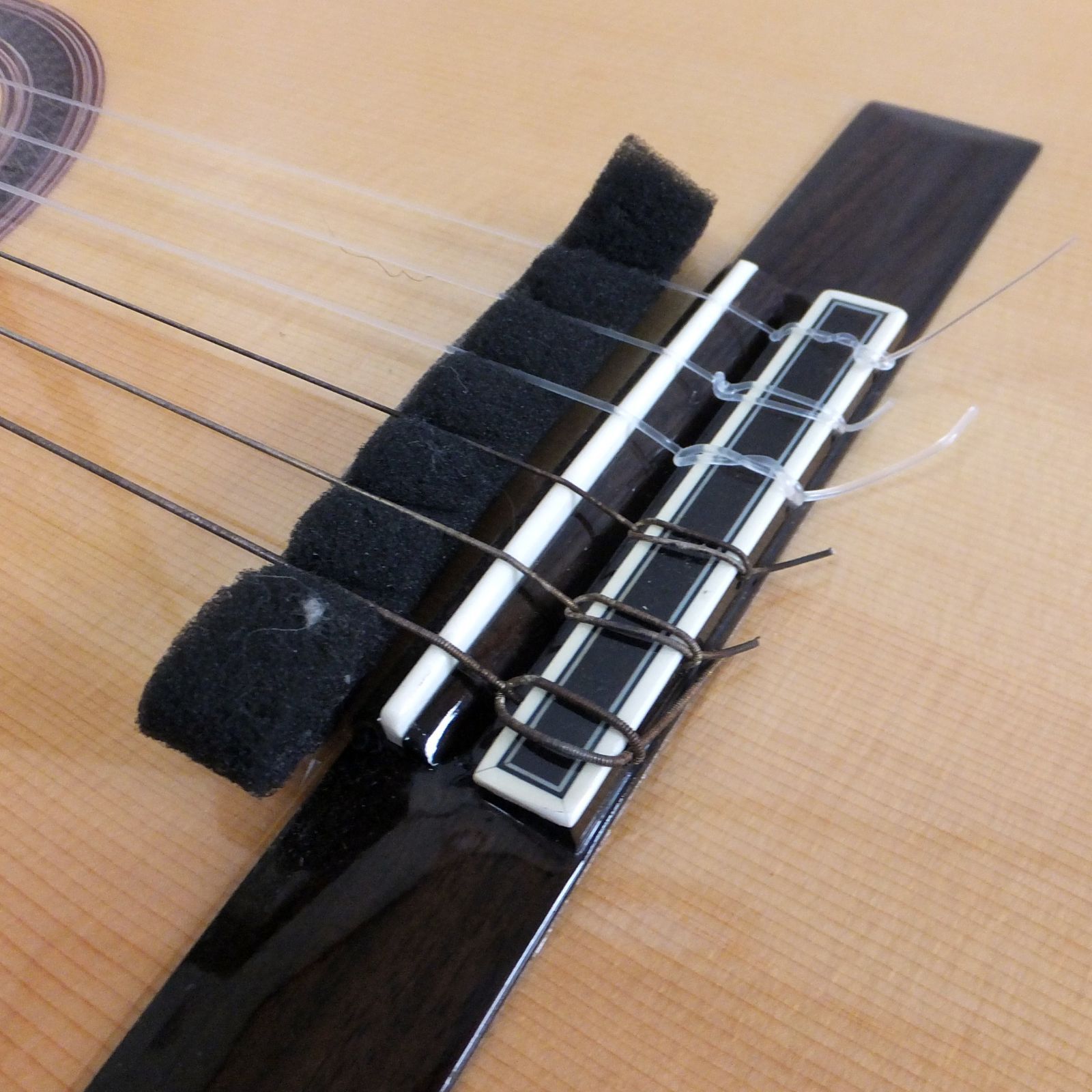 R356 Cordoba GK Studio Limited Edition エ コ クラシックギター 60 WWW_TRAVELLANDINDIA_COM