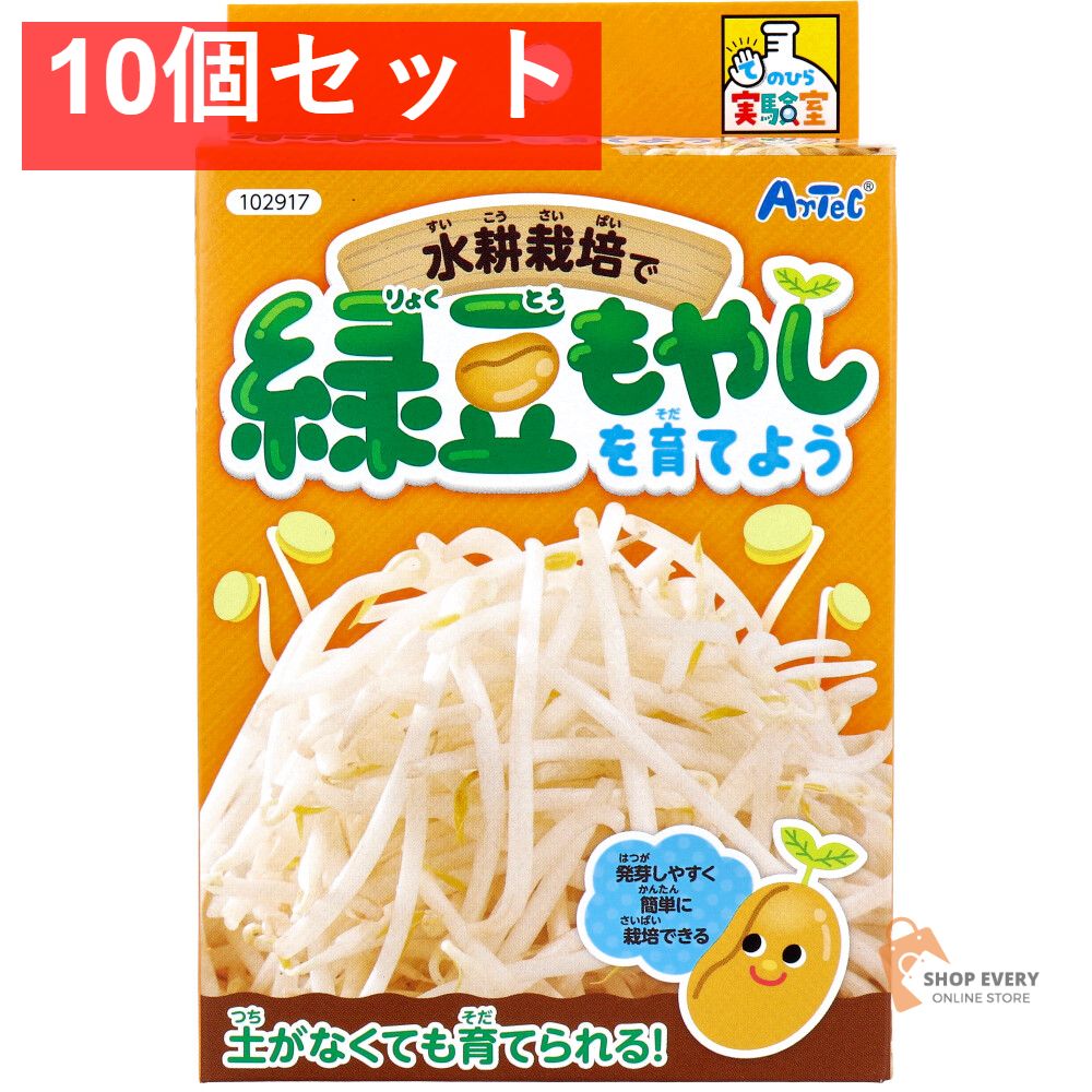 千頭森林鉄道】（参考書）讃歌