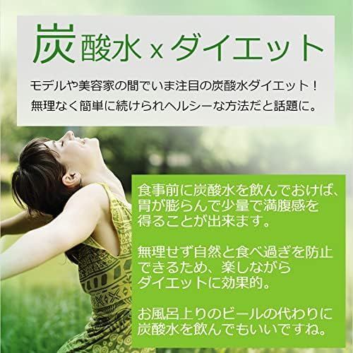  ソーダストリーム クイックコネクト ガスシリンダー 60 L 2本セット 新規 用 Soda streamm 6336 a 9 de その他 キッチン 食器