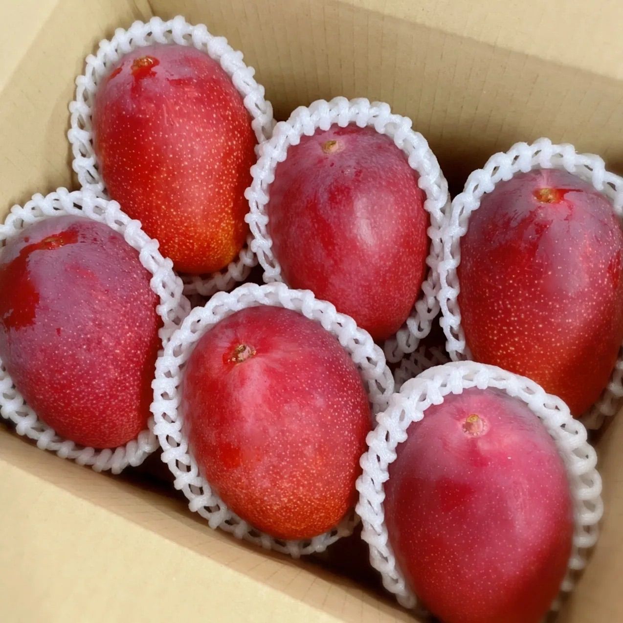 宮崎県産 完熟マンゴー 1.5kg 4 6玉