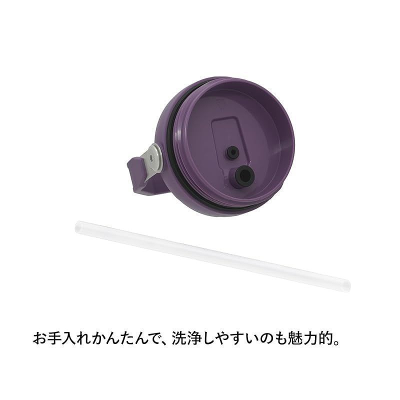 アイスフローフリップストロー